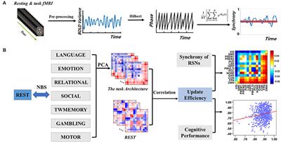 The Task Pre-Configuration Is Associated With Cognitive Performance Evidence From the Brain Synchrony